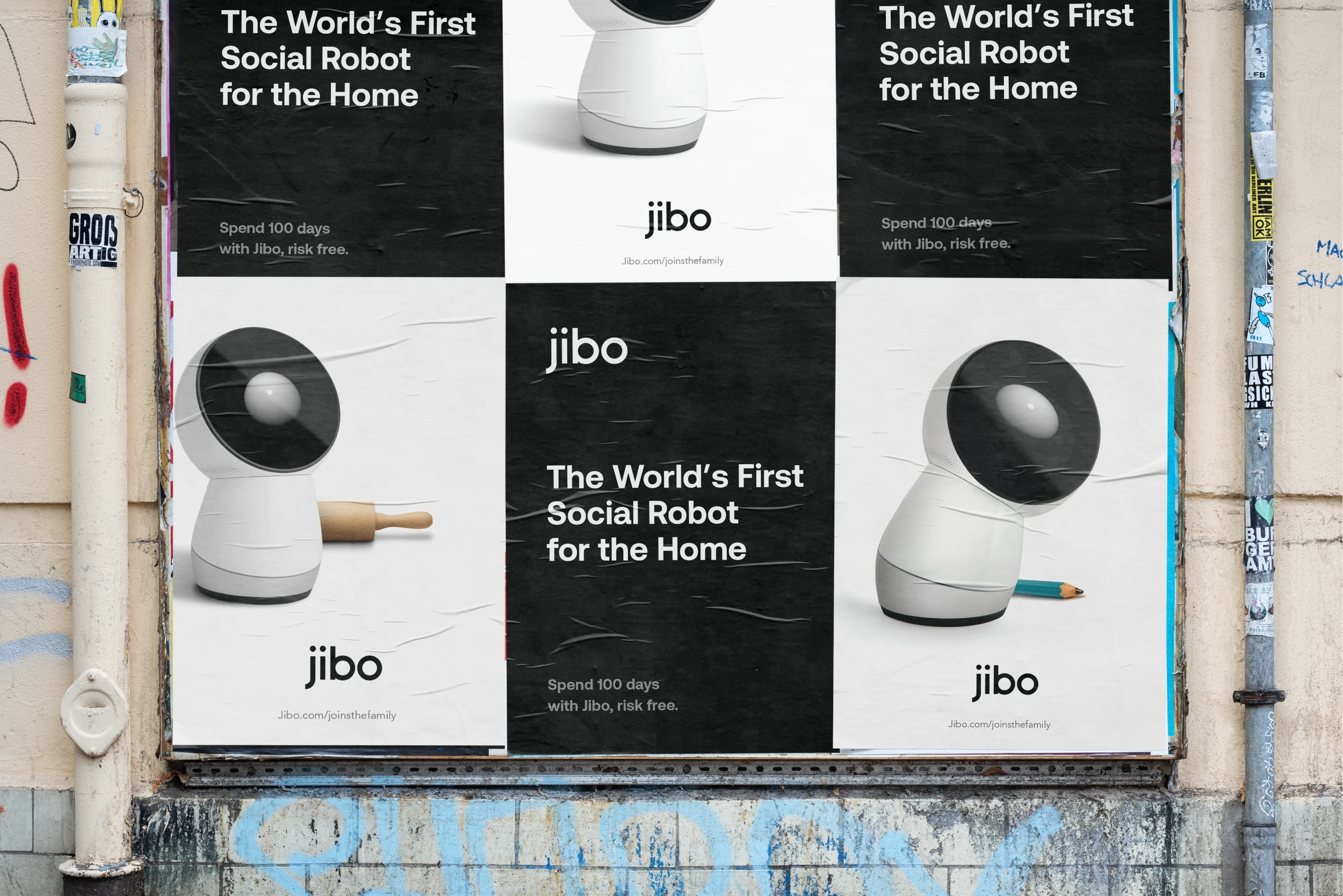 Jibo
