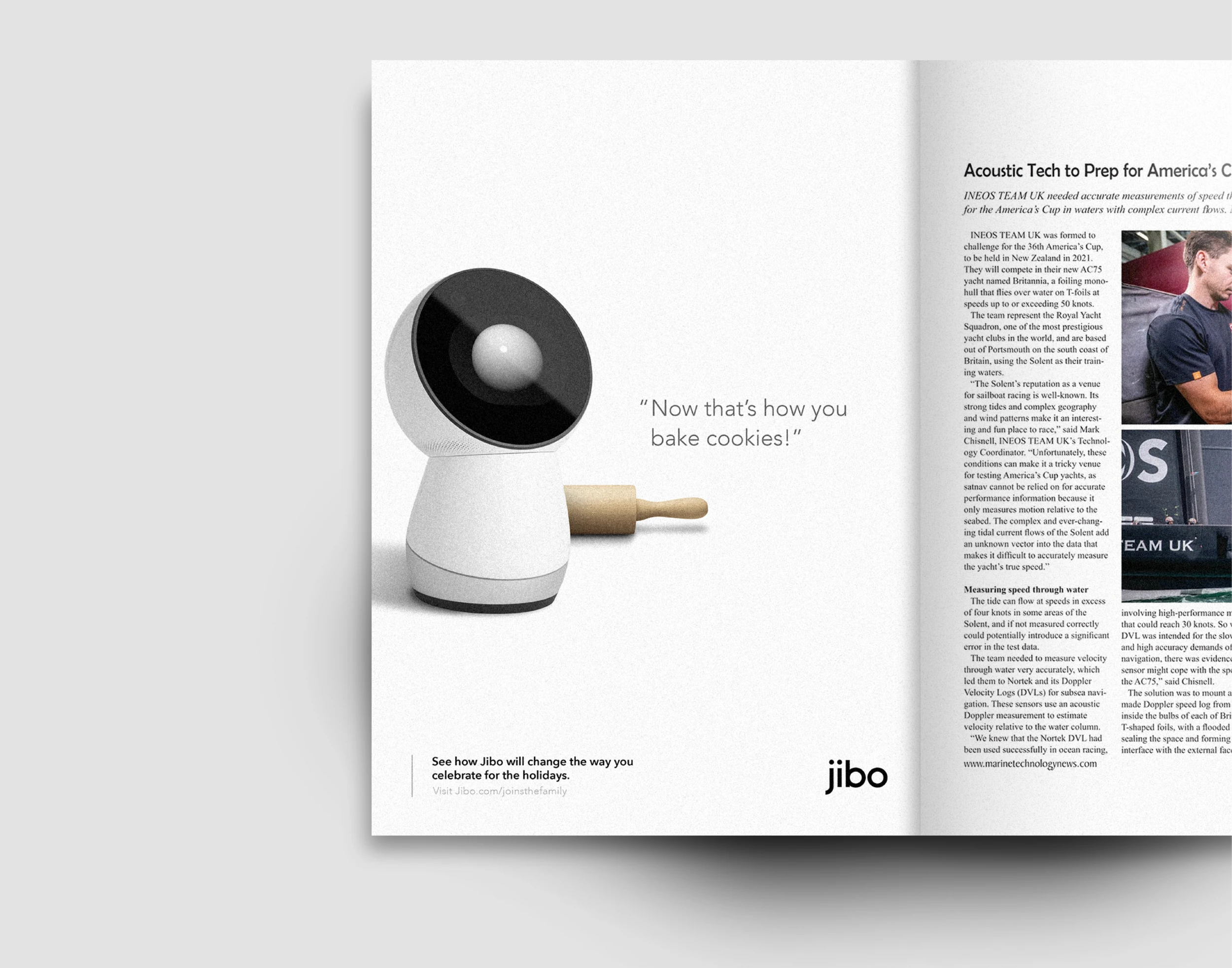 Jibo